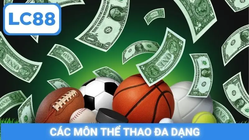 Các môn thể thao đa dạng