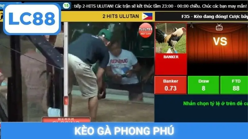 Kèo gà phong phú